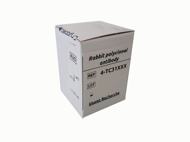 Rabbit polyclonal antibody anti- human t-PA