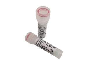 Plasma hemophile B avec anti-FIX