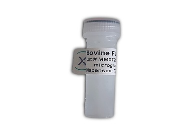 Bovine Lactadherin