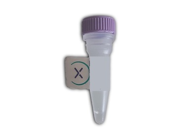 Fluorogenic substrate ANSN for Factor XIa (LPR)