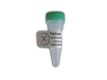 Human fibrinogen