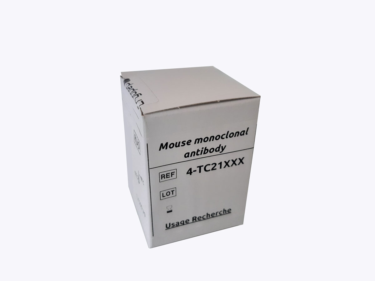 Mouse monoclonal antibody anti-α-2-Antiplasmin, 2AP, IgG1