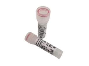 Plasma hemophile B avec anti-FIX