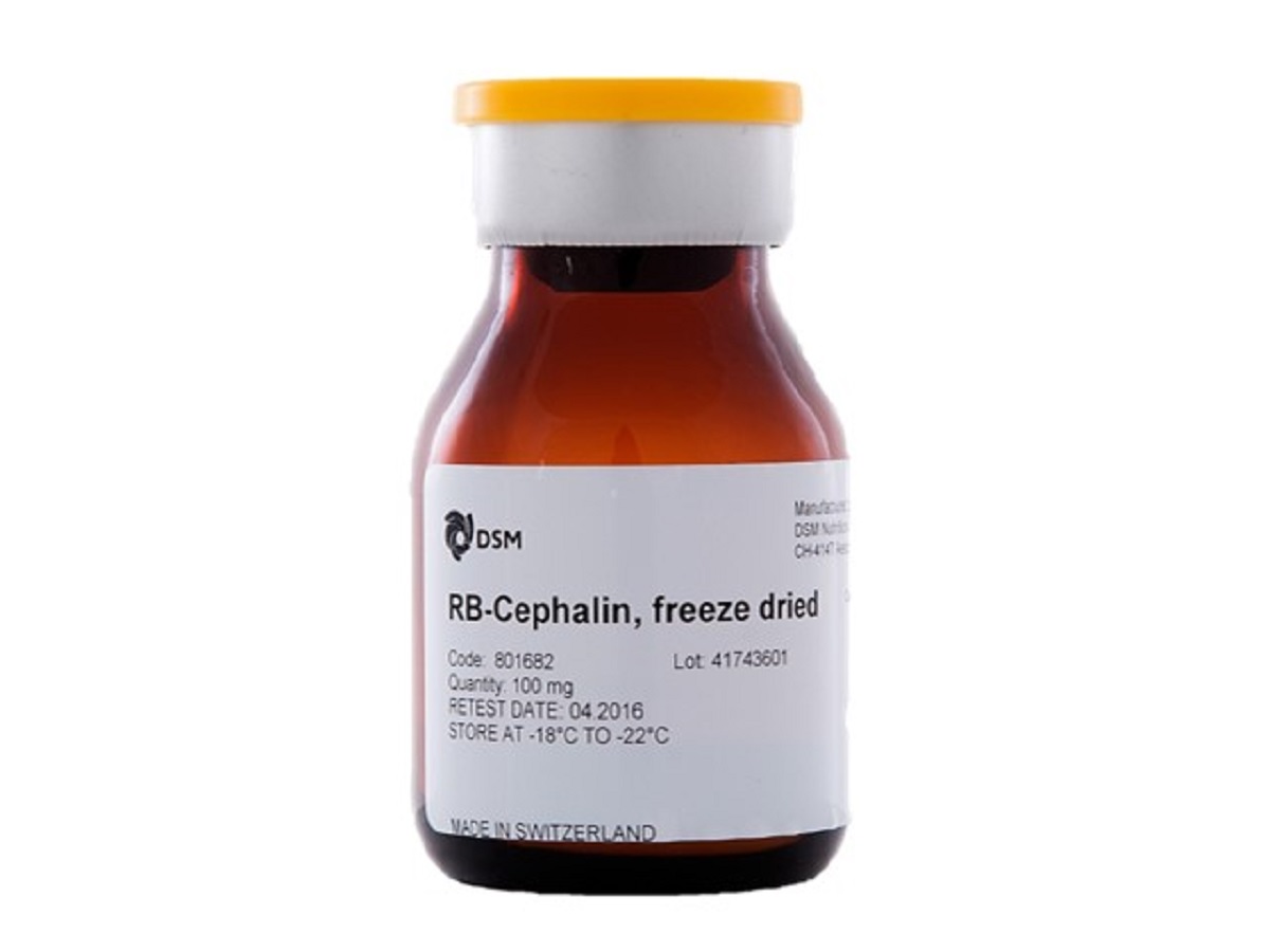 Rabbit Brain Cephalin