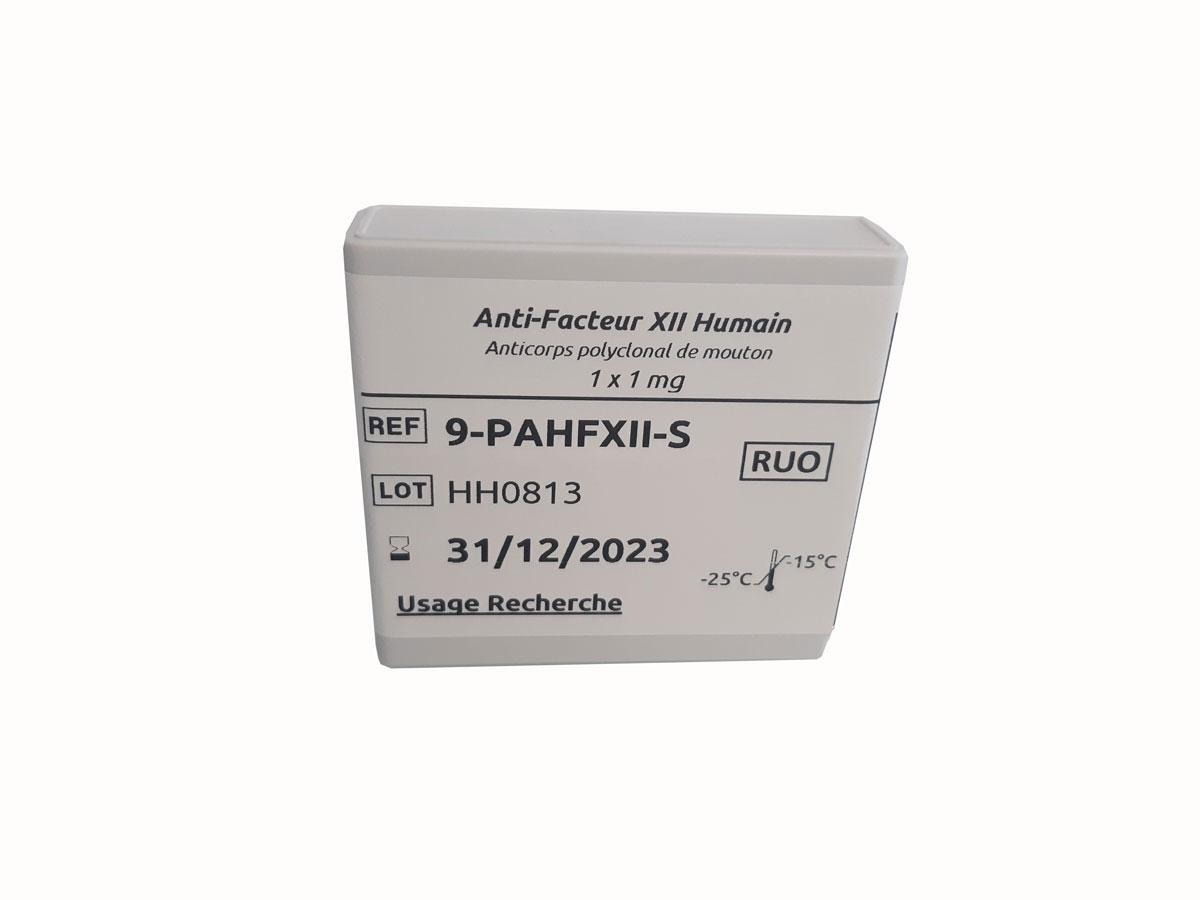 Sheep polyclonal antibody anti-human Factor XII