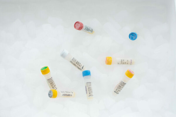 Mix-reactifs-Precision-Biologic-scaled-e1754570278131