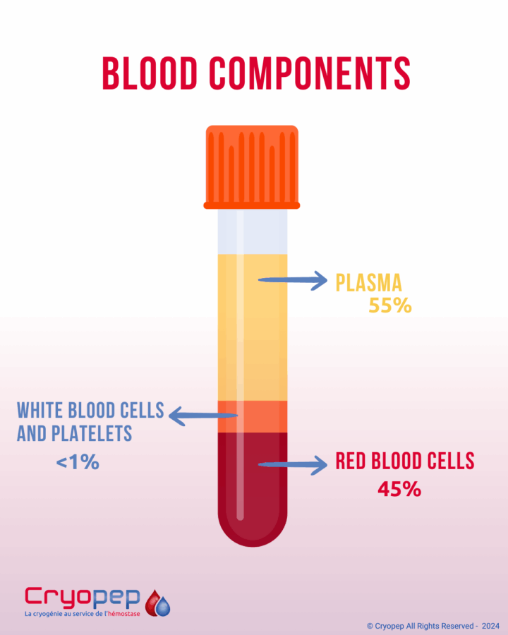 What is blood? 2 Quest ce que lhemostase UK